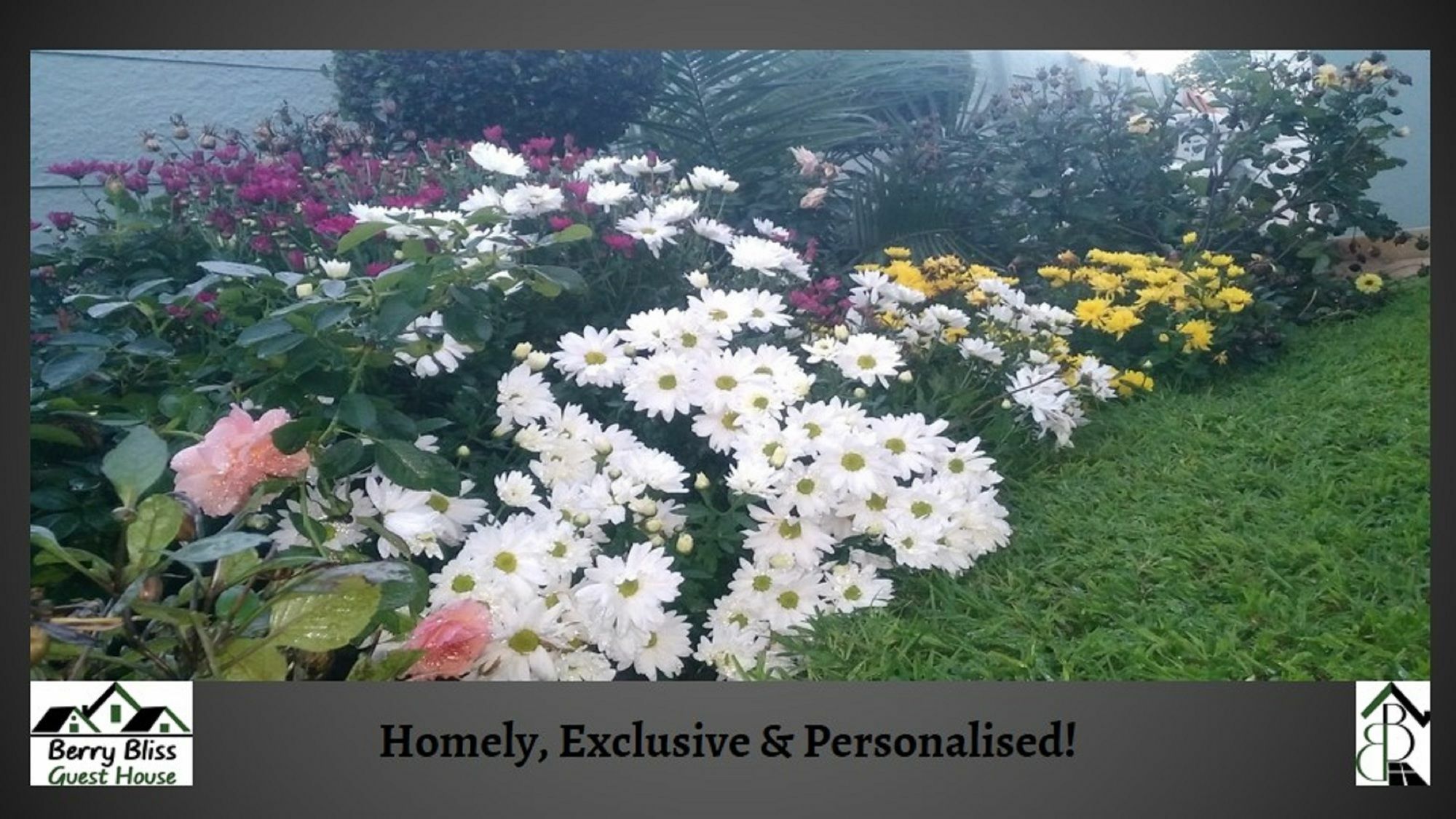 גאבורון Berry Bliss Guest House מראה חיצוני תמונה