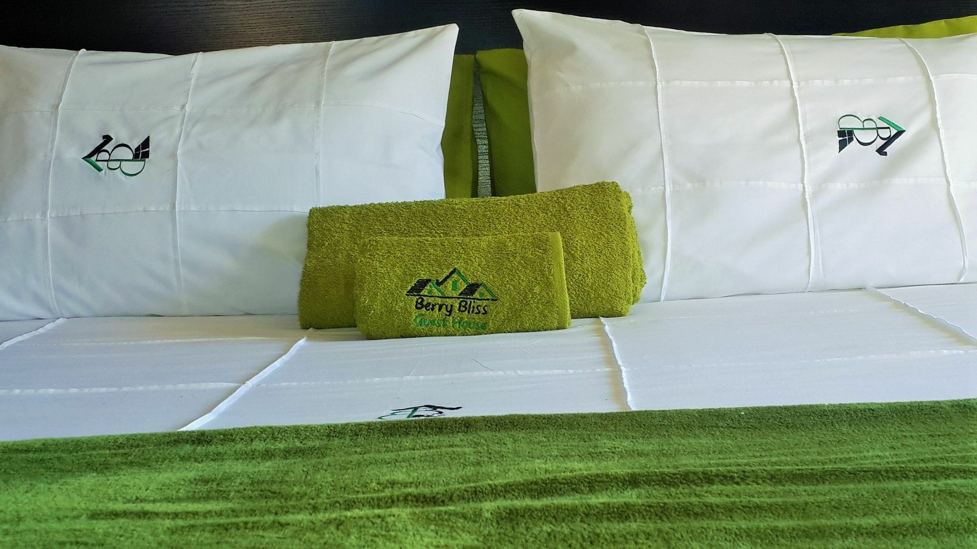 גאבורון Berry Bliss Guest House מראה חיצוני תמונה